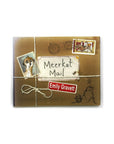 Meerkat Mail by Emily Gravett
