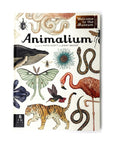 Animalium: Welcome to the Museum by Jenny Broom