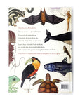 Animalium: Welcome to the Museum by Jenny Broom