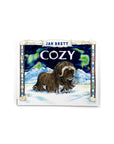 Cozy by Jan Brett