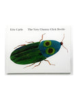 The Very Clumsy Click Beetle by Eric Carle