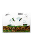 The Very Clumsy Click Beetle by Eric Carle