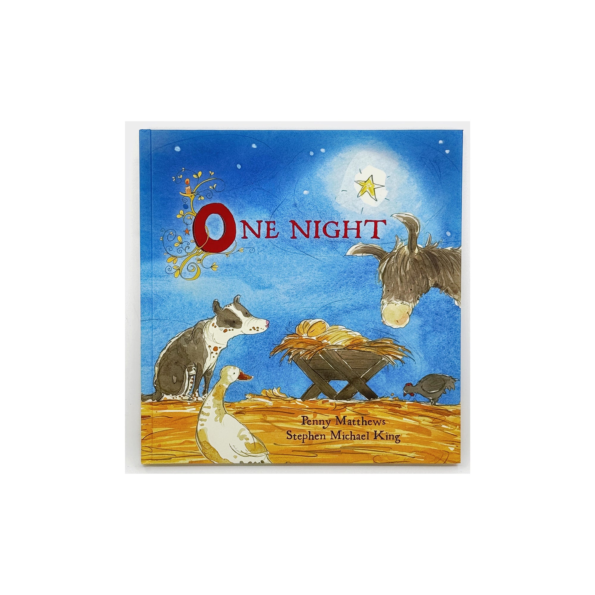 One Night by Penny Matthews