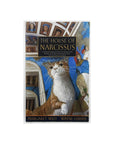 The House of Narcissus by Margaret Wild