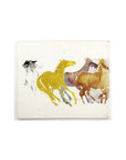 The Man From Snowy River by A.B (Banjo) Paterson