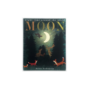 Moon: Night-Time Around the World by Britta Teckentrup