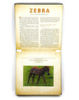 Safari: A Photicular (Motionpicture) Book by Dan Kainen