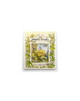 Set of Four Brambly Hedge Books: Spring, Summer, Autumn, Winter Story by Jill Barklem