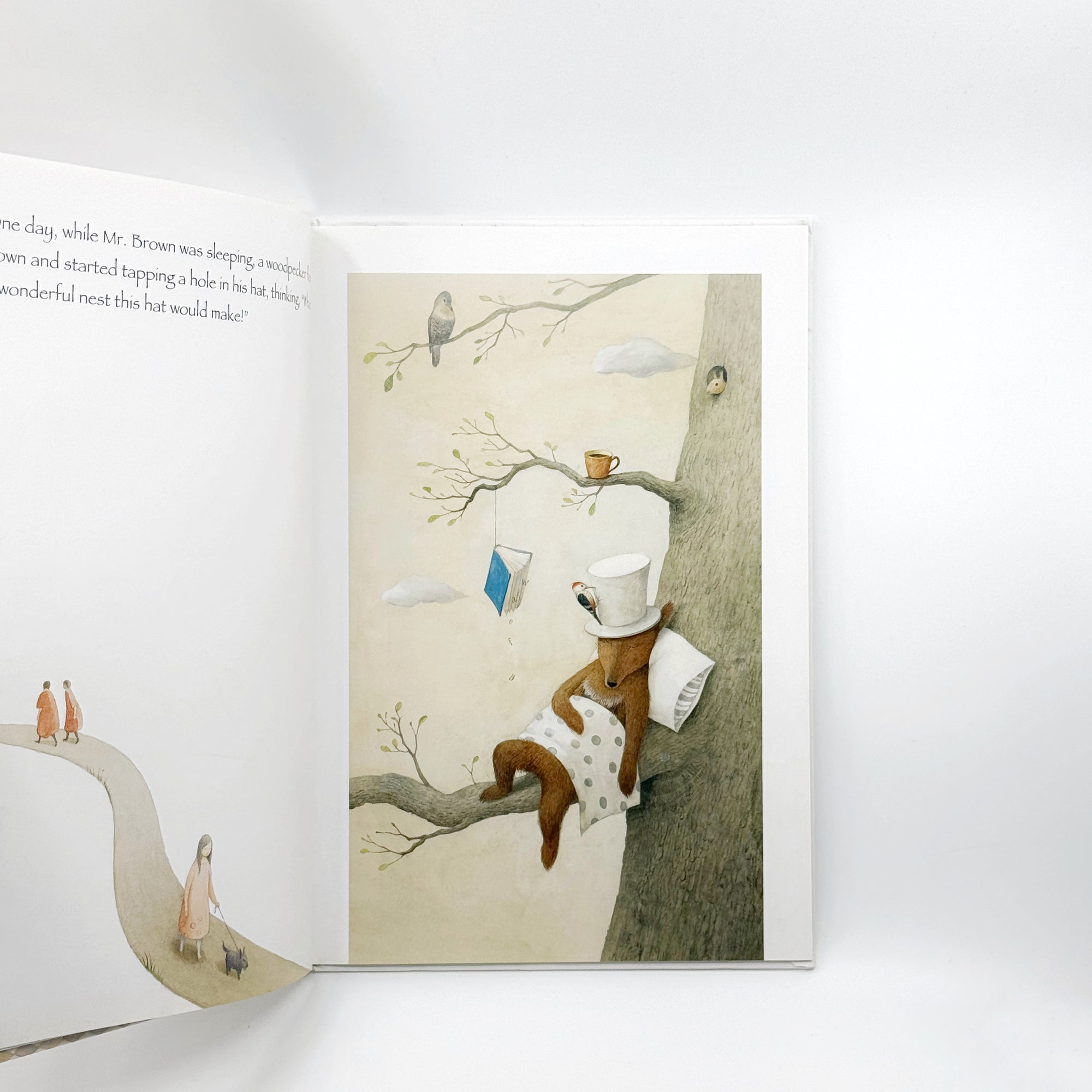 Mr. Brown's Fantastic Hat by Ayano Imai