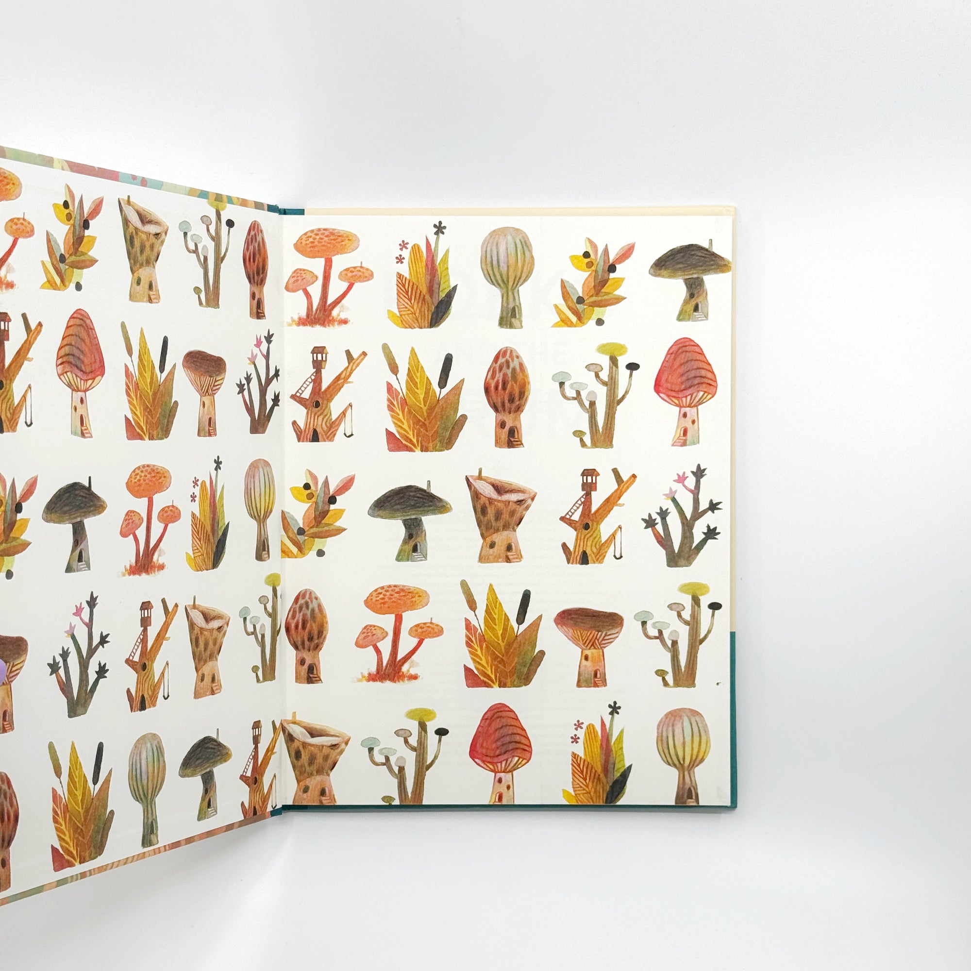 Pokko and the Drum by Matthew Forsythe