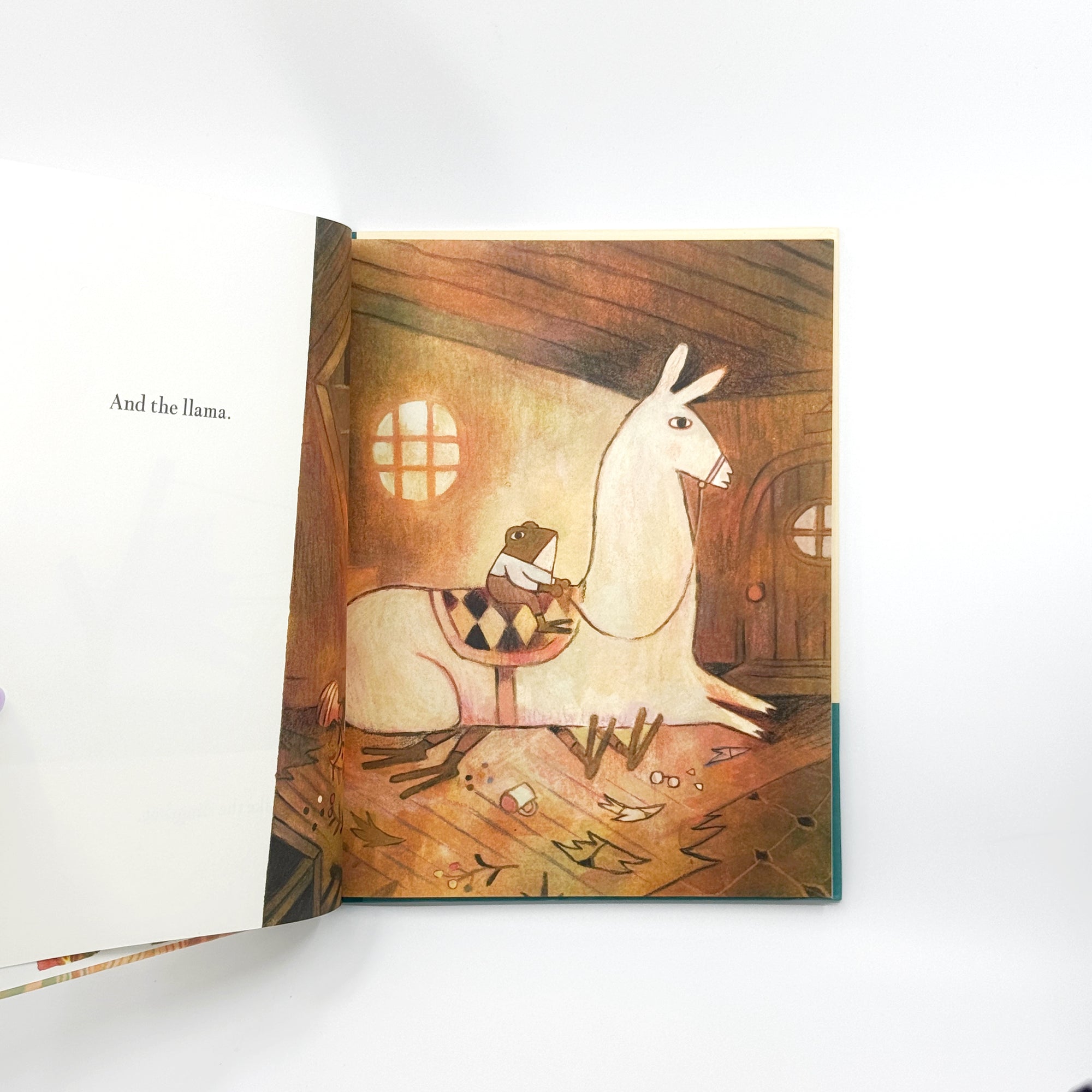 Pokko and the Drum by Matthew Forsythe