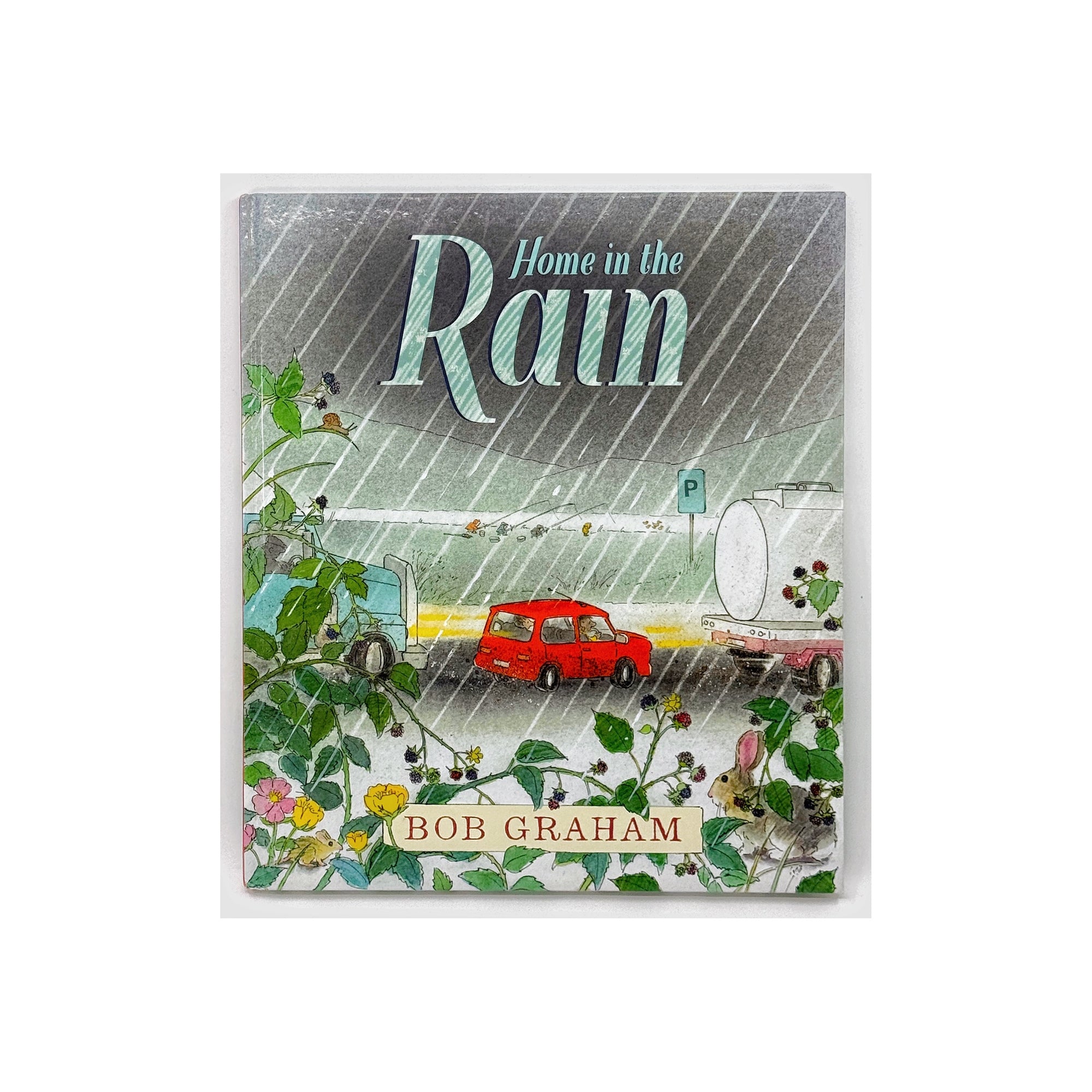 Home in the Rain by Bob Graham