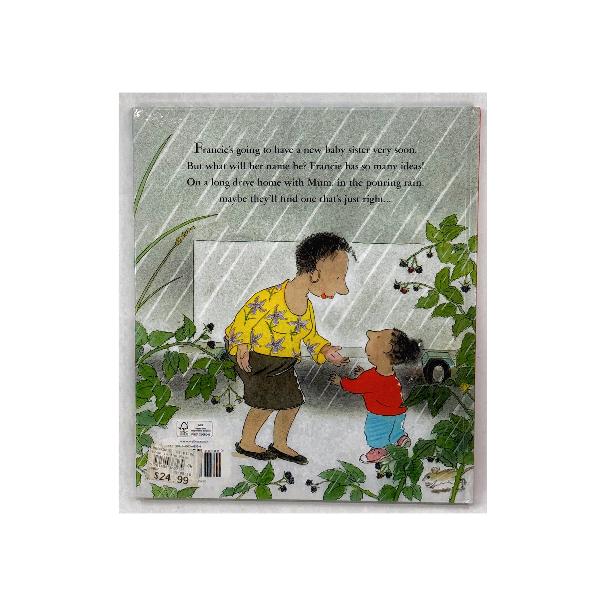 Home in the Rain by Bob Graham