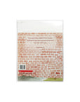 The Wall in the Middle of the Book by Jon Agee