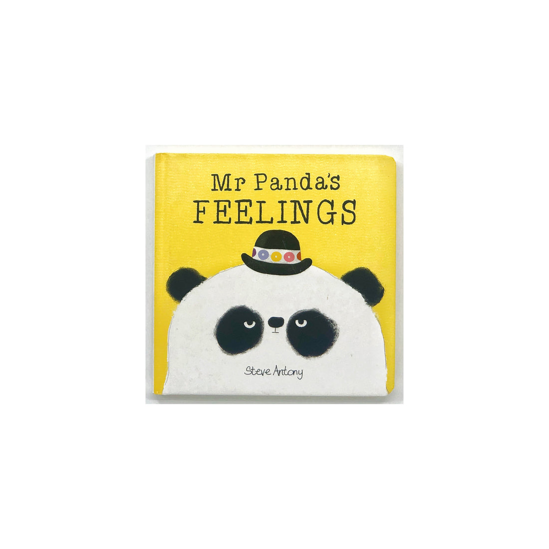 Mr Panda's Feelings by Steve Antony