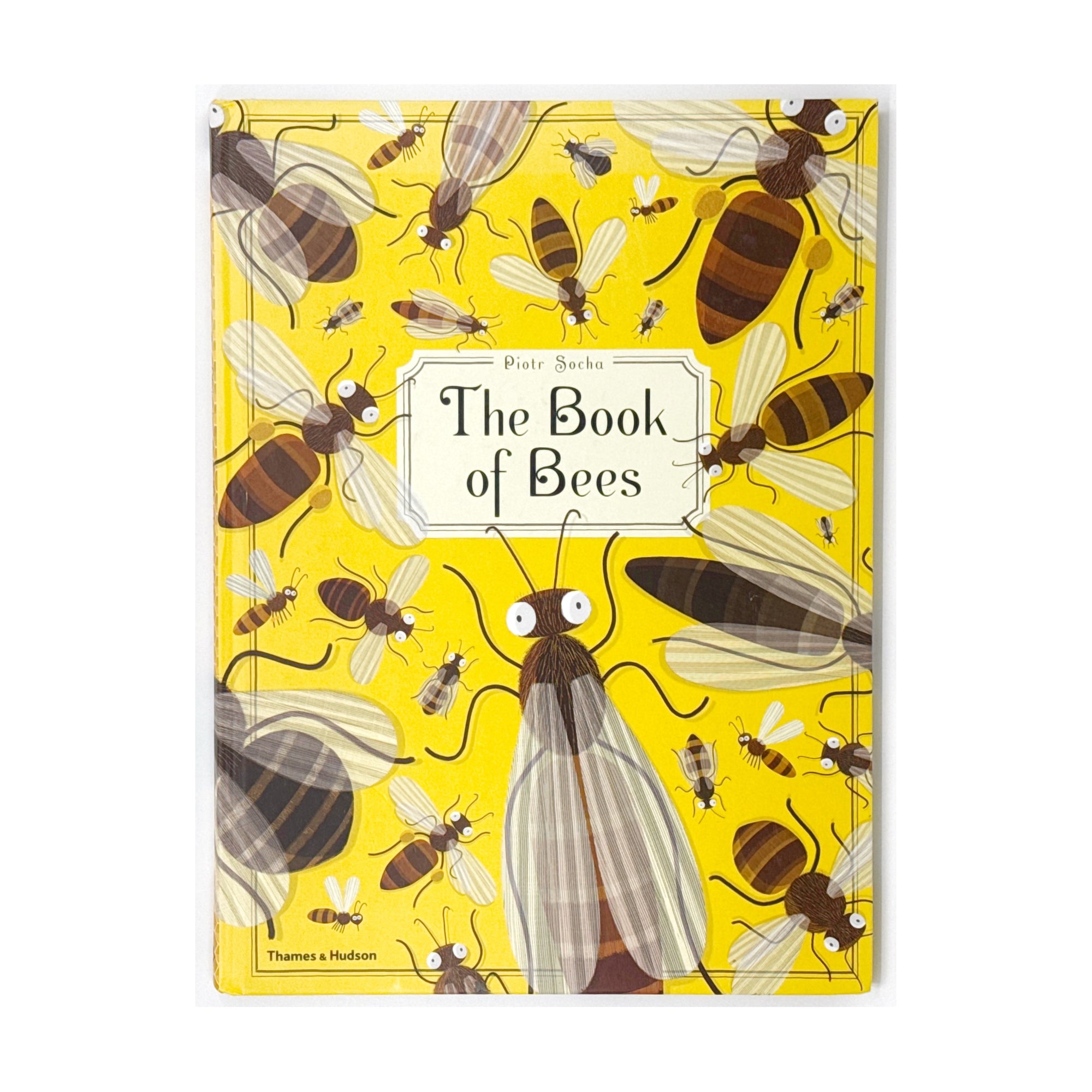 The Book of Bees illustrated by Piotr Socha