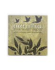 Cooee Mittigar: A Story on Darug Songlines by Jasmine Seymour