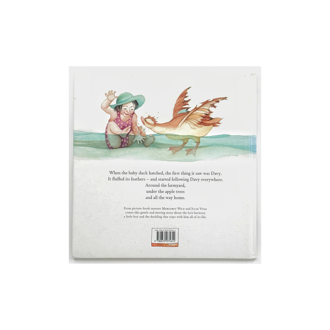 Davy & the Duckling by Margaret Wild
