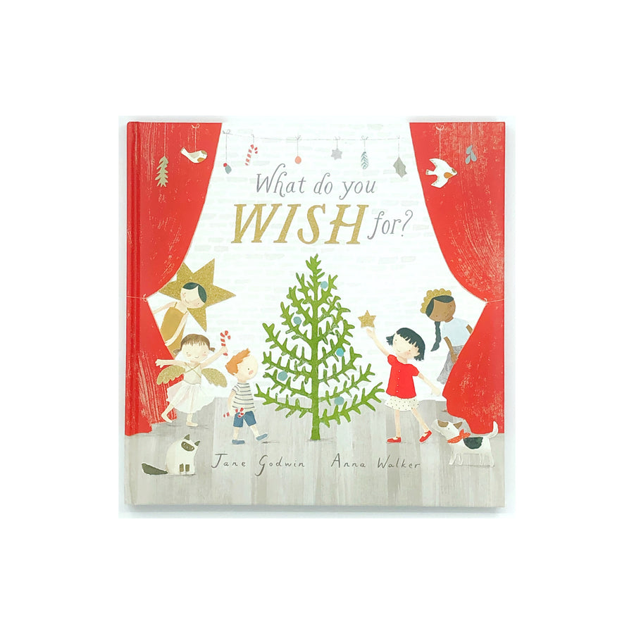 What Do You Wish For? by Jane Godwin